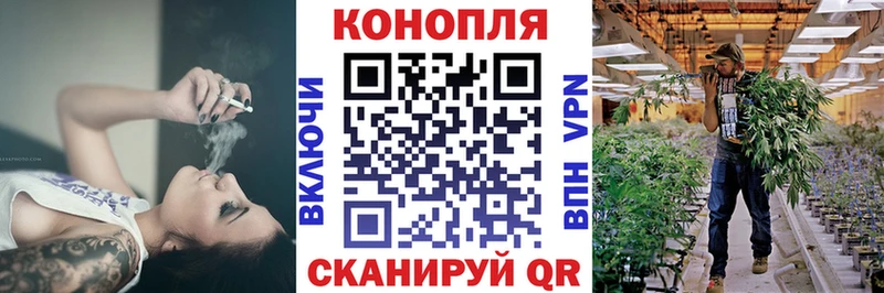 Купить наркоту Шлиссельбург Каннабис  Меф  Галлюциногенные грибы  ГАШИШ 