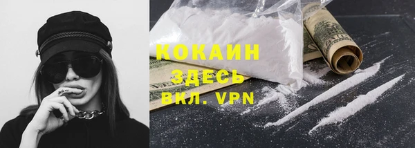 прущие грибы Тавда